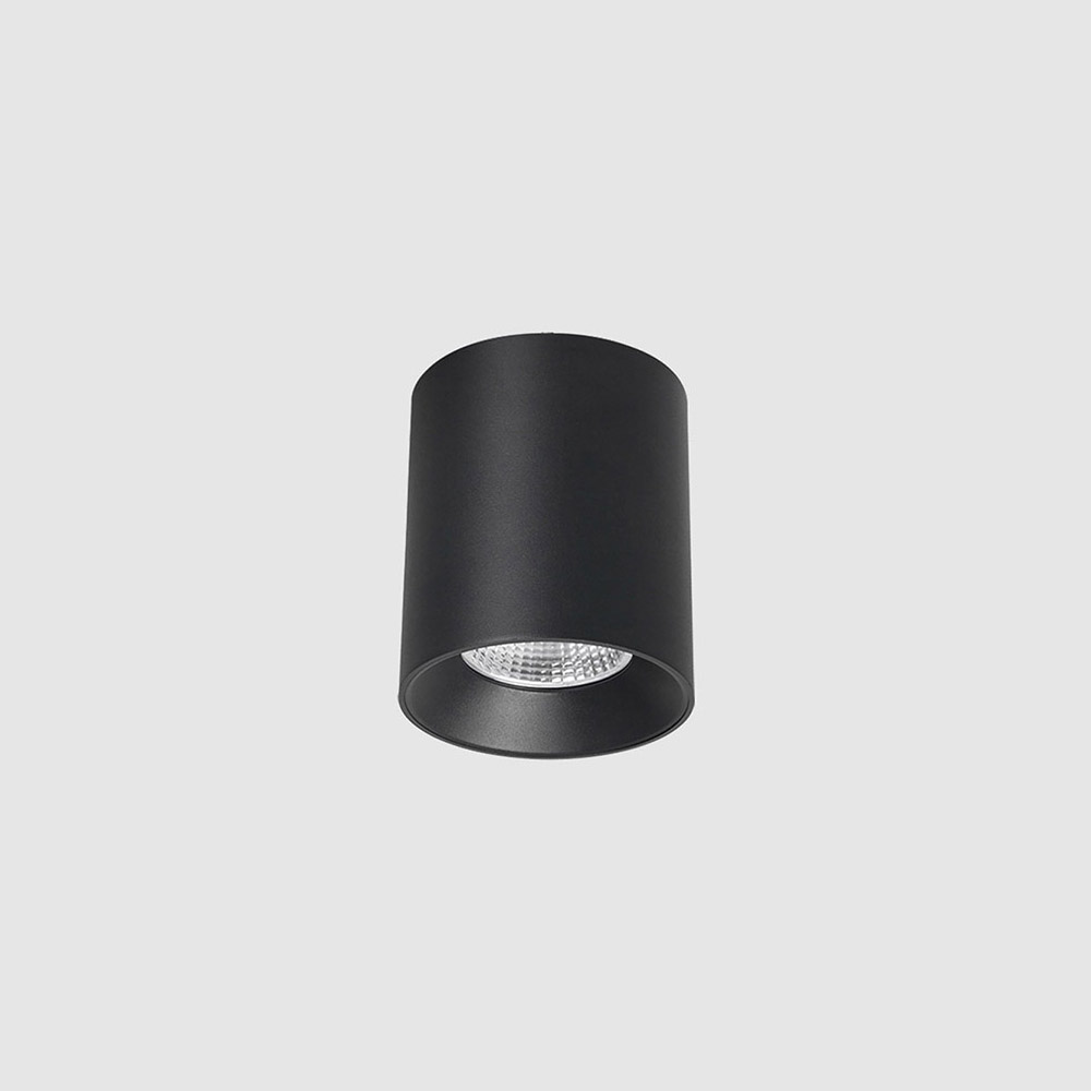 RAYA Surface Mounted Downlight M2506
