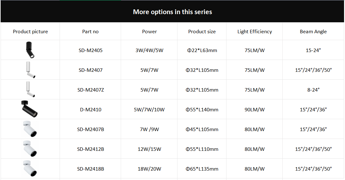 RUSSELL Surface Mounted Downlight M24(图1)